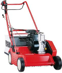 Rasenl&uuml;fter mieten leihen