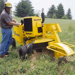 Baumstumpffr&auml;se mieten leihen