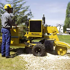 Baumstumpffr&auml;se mieten leihen