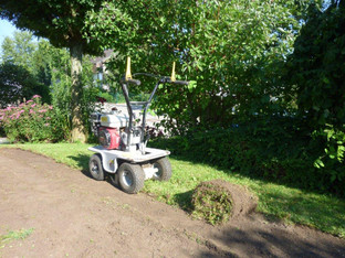 Rasen-Soden-Schneider mieten leihen